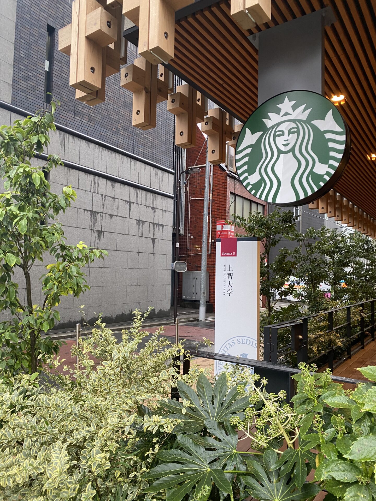 スターバックスコーヒー上智大学四谷キャンパス店の店舗情報：2024年4月1日・上智大学内オープンのスタバ