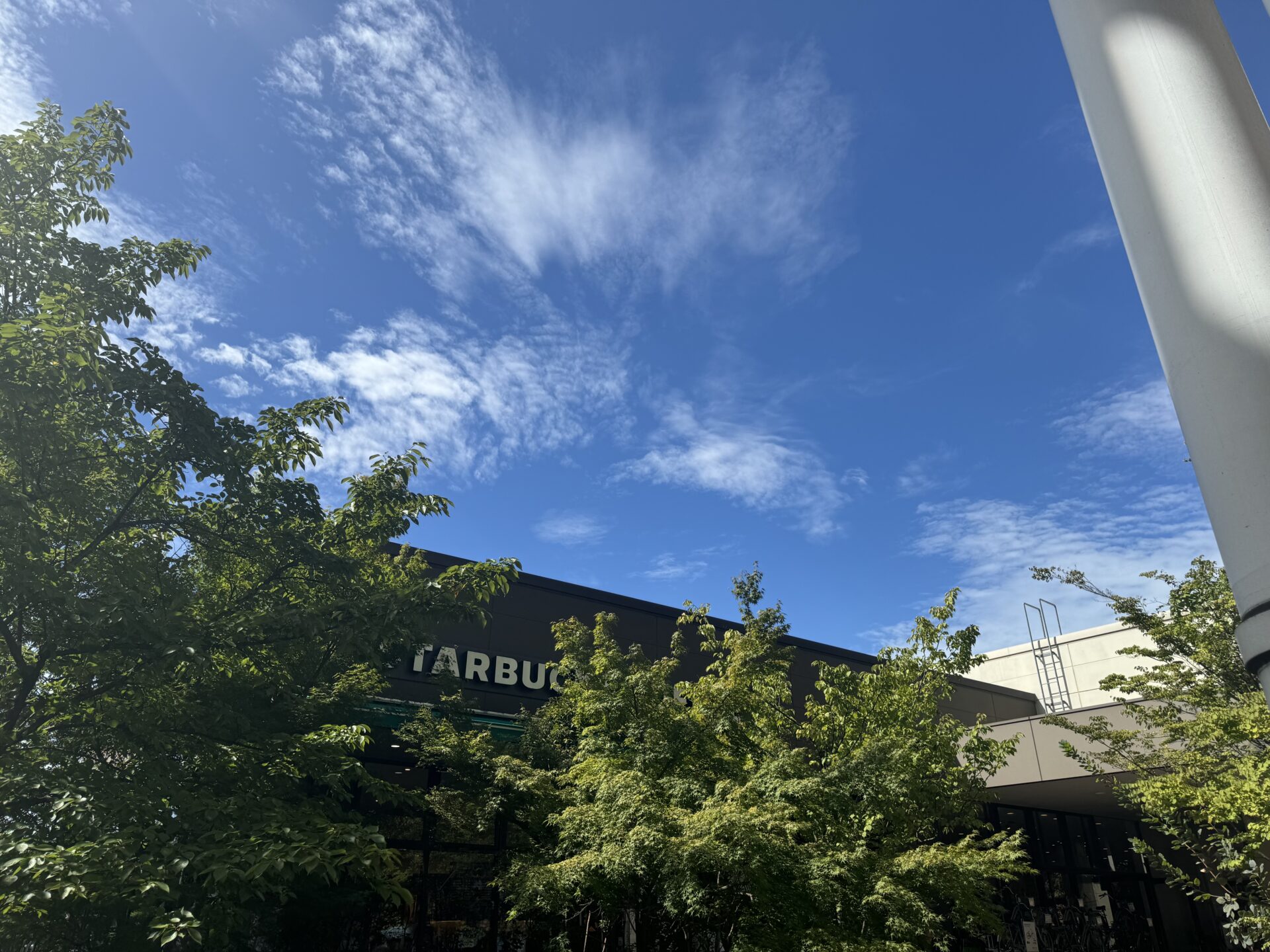 スターバックスコーヒー越谷イオンレイクタウン mori ガーデンウォーク店の店舗情報：イオンレイクタウンmoriのスターバックス