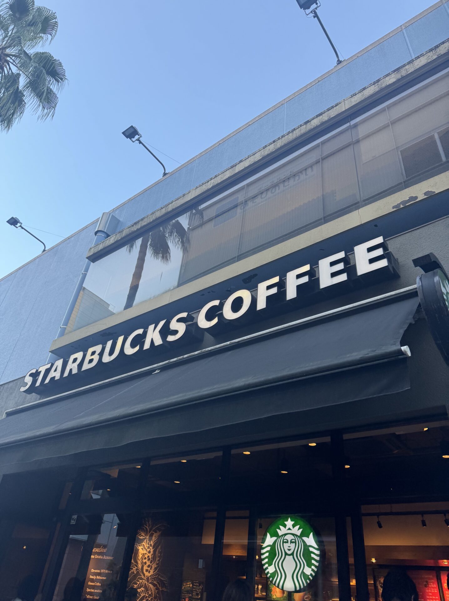 スターバックスコーヒー ららぽーとTOKYO-BAY北館店の店舗情報：ららぽーと飲食店街のスターバックス