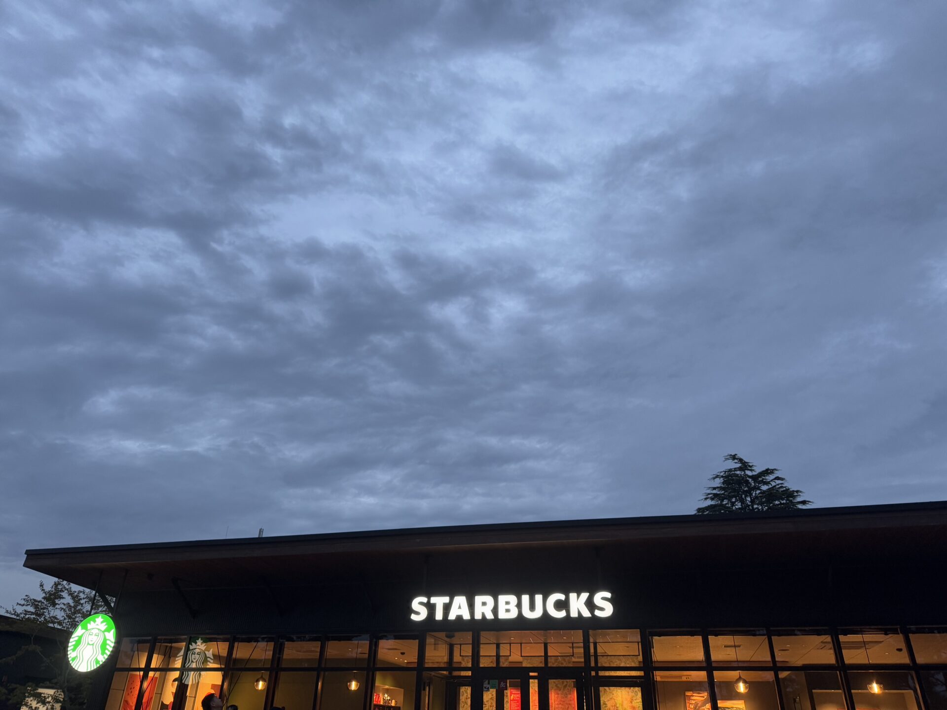 スターバックスコーヒー千葉公園店の店舗情報：千葉市内おすすめのスターバックス